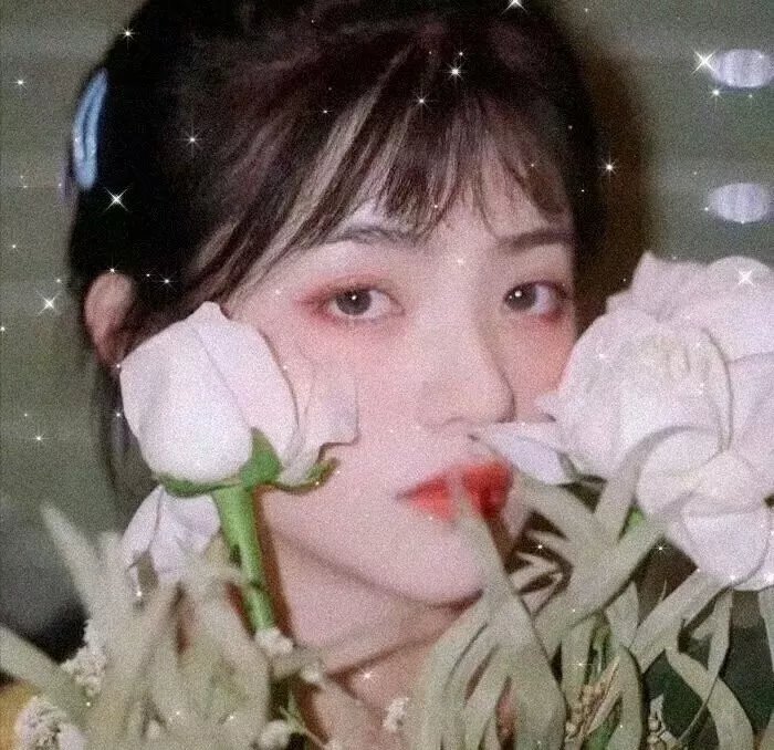 我家的陌生人