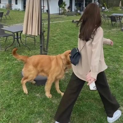 家庭事件