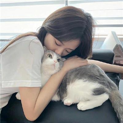圆圈